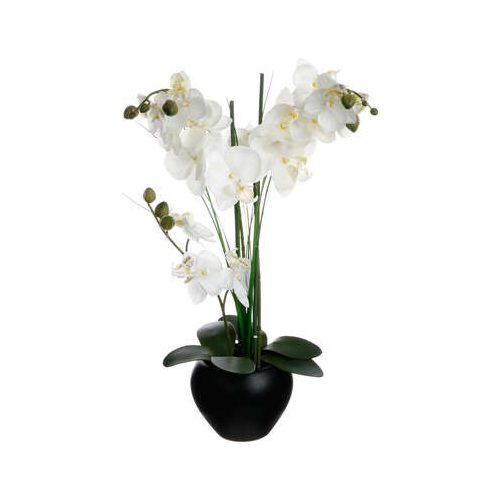 Fehér orchidea fekete kaspóban 53cm