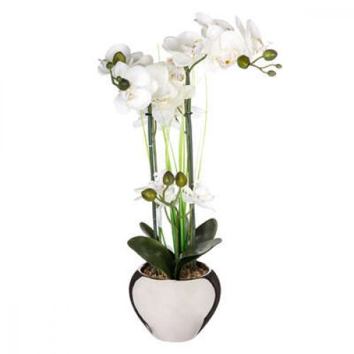 Fehér orchidea ezüst kaspóban 53cm