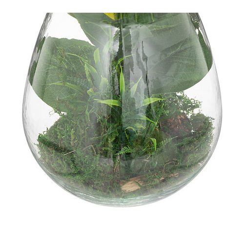 Botanic terrarium 29,5cm