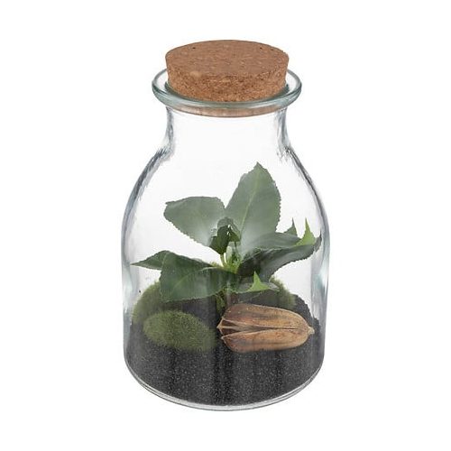 Botanic terrarium 19,5cm